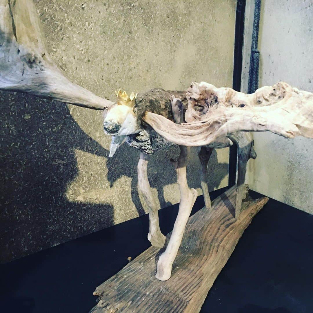 宮田麺児さんのインスタグラム写真 - (宮田麺児Instagram)「お隣のぼっかってさんの 「流木アート」へ 素晴らしい。  流木の絵画 購入させてもらいました。 綾部の家に　作者さんに飾ってもらいまーす  #堺町画廊 #綾部 #流木 #流木アート #ぼっかって」11月12日 13時39分 - miyatamenji
