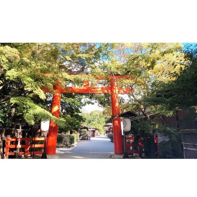 東出真緒さんのインスタグラム写真 - (東出真緒Instagram)「いつかの⛩ 京都　下鴨神社⛩✨ . 上賀茂神社からバスに乗って下鴨神社へ。 西参道から境内へ。 本殿には干支を守る神様のお社があり、なんだか賑やか。 大国主命さまと玉依姫命さまにお参り出来ました✨ 八咫烏さんにもお参りして、境内散策。 . 糺の森を歩いているだけですでにマイナスイオン半端ない🌲🌲 . そのまま河合神社⛩ ここでも玉依姫命さまにお参りし、女子必須の美麗祈願✨ 手鏡の形の絵馬に可愛いお顔が描かれていて、見ていてほっこり☺️ . #神社 #神社巡り #京都  #下鴨神社 #賀茂御祖神社 #大国主命 #玉依姫命 #八咫烏 #河合神社 #美麗祈願 #糺の森」11月12日 13時47分 - mao_bigmama_vn