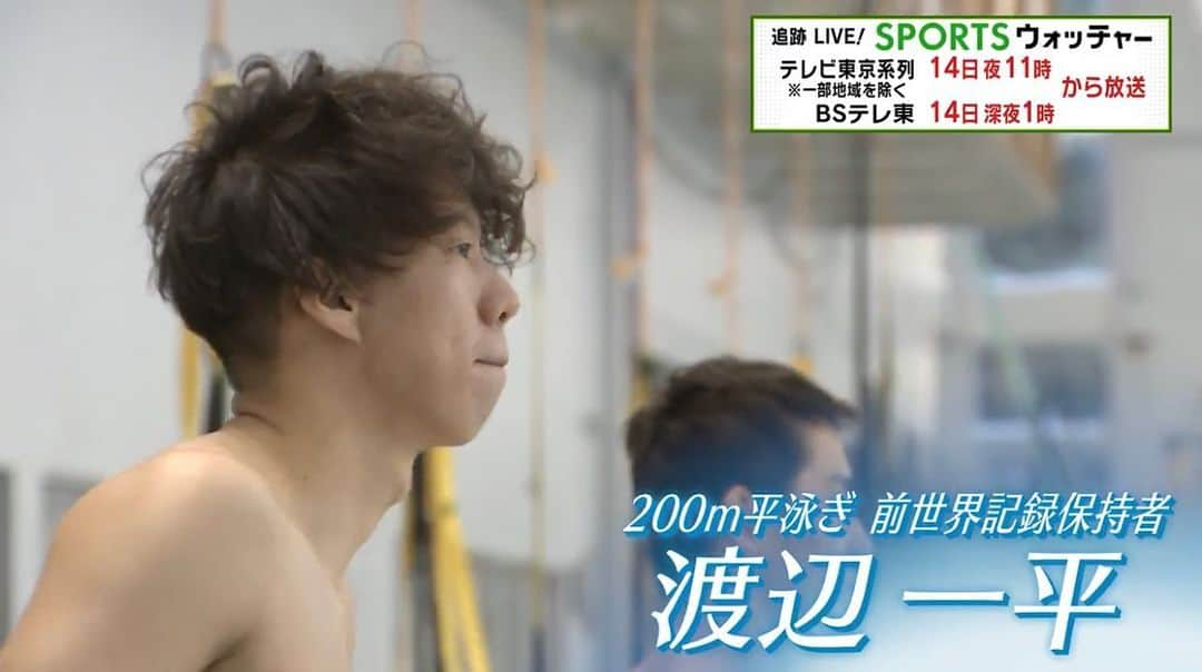 渡辺一平のインスタグラム：「. 【スタッフからのお知らせ】 . １１月１４日（土）夜１１時から放送 テレビ東京・SPORTSウォッチャー  特集企画 “Human ウォッチャー” 渡辺一平選手の長編ドキュメント。 来年の東京五輪で金メダルを目指す渡辺選手の半生に迫る。 恩師が語る渡辺選手の成長秘話。 初出場のリオ五輪での屈辱から生まれた世界新記録。 東京に向けた今の課題と五輪への思いとは？ 渡辺一平選手の知られざる素顔も紹介します。  詳しくは ストーリーズから番組公式サイトへ  @tokyo2020  @toyota_jp  @mizunojp  #ldhsports」