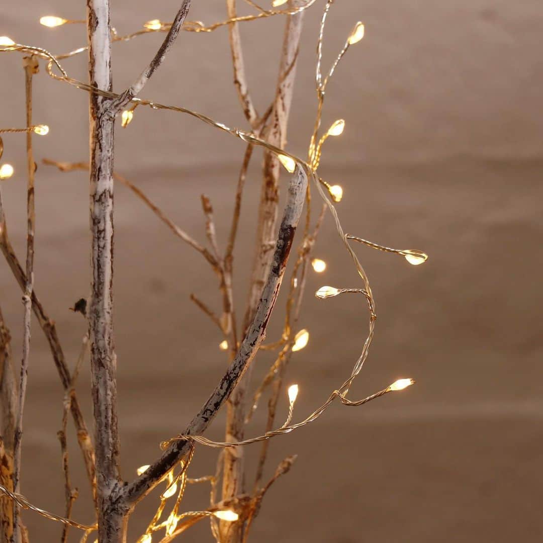 salut!さんのインスタグラム写真 - (salut!Instagram)「*.+ﾟ LEDライトが可愛い！ *.+ﾟ﻿ ﻿ 木の枝分かれのようなデザインが特徴的なLEDブランチライト！﻿ 壁にかけたり、ツリーや流木などに巻き付けたりするのもおすすめ◎﻿ ﻿ ライトがいっぱいついているのでひとつ付けるだけで存在感抜群ですˊᵕˋ﻿ ﻿ ﻿ ﻿ 単3電池2本でご使用頂けます*.+ﾟ﻿ クリスマスオーナメントもいっぱいご用意しておりますので一緒にチェックしてみてくださいね⋆⸜ ⸝⋆﻿ ﻿ ﻿ 他にも多数新商品が入荷しております。﻿ 是非公式通販サイトからご覧くださいませ𓂃⚑﻿ ﻿ ﻿ 公式通販サイト﻿ @salut_shop ﻿ トップページURLよりご確認くださいませ⋆*❁*﻿ ﻿ ﻿ 画像掲載商品﻿ ・ LEDブランチライト ¥550(taxin)﻿ ﻿ ﻿ ﻿ ﻿ ※店舗により入荷時間や在庫数が異なります。﻿ ご来店の前にお近くの店舗までご確認くださいますようお願い致します。﻿ ﻿ ﻿ #サリュ #salut #まいにちインテリア ﻿ # #クリスマス #xmas #クリスマスツリー #クリスマスツリー飾り付け #クリスマス雑貨 #ツリー #ツリーオーナメント #おうちクリスマス #クリスマスオーナメント #クリスマスインテリア ﻿ #プチプラ #プチプラ雑貨 #プチプラインテリア #プチプラ小物 #プチプラ通販 ﻿ #インテリア雑貨 #インテリア小物 #インテリア ﻿ #ナチュラルな暮らし #ナチュラルインテリア #ナチュラルコーデ #ナチュラル　#smileispower_p」11月12日 15時16分 - salut_shop