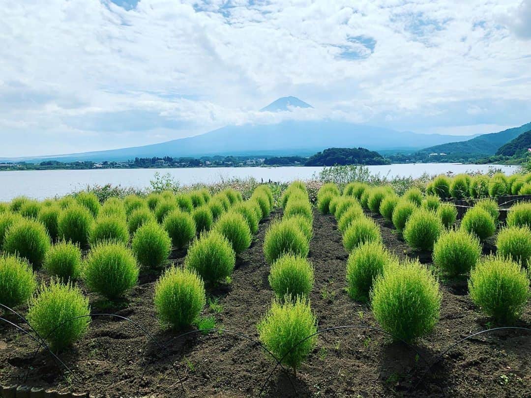 HAYATOのインスタグラム：「今年は富士山に登れなかったけど、下からゆっくり見る富士山も良いものです✨  マスカットが有名でした🌈  #BRIDGET   #HAYATO   #japan  #岐阜県  #東濃  #恵那市  #山梨  #河口湖  #富士山  #マスカット  #アイス  #スイーツ  #デザート  #お菓子  #グルメ  #料理  #美味しい  #歴史  #文化  #旅行  #風景  #写真  #インスタ映え  #follow  #likeforlike  #gratefuldays」