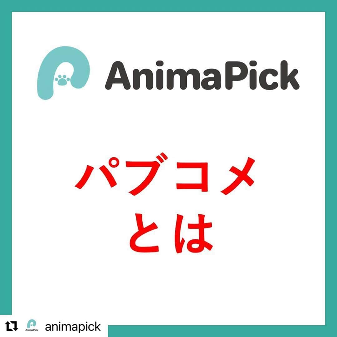 二階堂ふみのインスタグラム：「AnimaPickさん @animapick  の投稿をリポストさせていただきます！ とてもわかりやすいです🐣！ ありがとうございます！！  #Repost @animapick with @make_repost ・・・ 【パブコメとは！！】 何人かの方から「パブコメがそもそもなんなのかわからない！」という旨の連絡をいただきました💡  たしかにそれを説明してませんでした🙇🙇  そこで「そもそもパブコメが何かを知らないだけで、知ってもらえれば声を上げてくださる方はかなりの人数いらっしゃるのではないか！？」と考えました！  パブコメの締め切り間近のこの時期に「動物にとって優しい世界」を作るためにより多くの人に協力していただきたい、これを機に保護活動を多くの人に知ってもらいたいと思い、投稿しています✨✨  より良い世界を一緒に作りましょう🤲🤲  多くの方に知っていただけるようによろしければ拡散にご協力ください🙇  運営リーダー（ @shota__enomoto ） 開発リーダー（ @maruo_masataka ）  #動物保護 #保護犬を家族に迎えるという選択肢  #保護猫を飼おう  #保護動物 #保護活動 #動物保護活動 #殺処分ゼロ #AnimaPick」