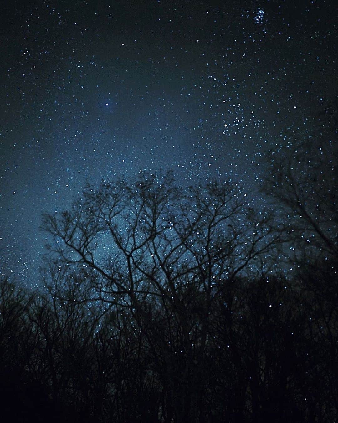 三浦大地さんのインスタグラム写真 - (三浦大地Instagram)「真っ暗な雪の森の中を進み。  空を見上げたら宇宙。  最近は狭い意識になっていたな。  自分は宇宙に住んでいると再確認。  @denebstories #denebstories #星浴」11月12日 15時42分 - daichi_1127