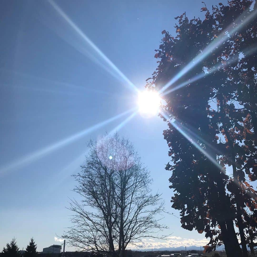 土屋眞弓のインスタグラム：「amazing☀️✨✨✨ 美しすぎる  #sunnyday  #beautifulsky」