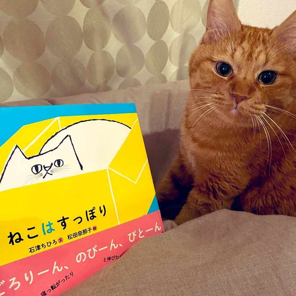 森永理科のインスタグラム