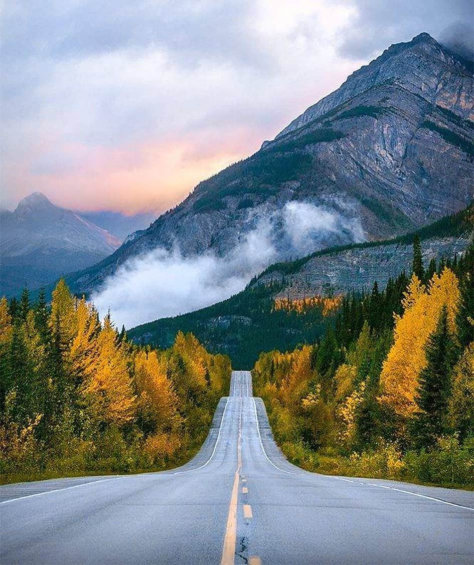 Explore Canadaのインスタグラム：「Today's #CanadaSpotlight is on road trips!⁠⠀ ⁠⠀ One of the best ways to take in the beautiful, diverse landscapes of Canada is by road, and as the second largest country in the world, we’ve got a few to explore! With so many road trips to choose from, it’s impossible to mention them all, but here are a few of our favourites:⁠⠀ ⁠⠀ 🚗 The Icefields Parkway in Alberta is perhaps one of the most well-known road trips of Canada, winding through the Canadian Rockies and giving you a front-row seat to some of the range’s most breathtaking glaciers and turquoise lakes.⁠⠀ 🌊 The Sea to Sky Highway in British Columbia is a beautiful 162km drive starting in Vancouver, and features ocean, forest, mountains and farmland. ⁠⠀ 🚘 Grasslands National Park, Saskatchewan, offers incredible views of prairie landscape where you can spot a range of wildlife, including the Plains Bison!⁠⠀ 🛣️ Interlake Region, Manitoba. Immerse yourself in history and nature in this interlake region, between Lake Winnipeg and Lake Manitoba.⁠⠀ ⁠⠀ Tell us your favourite road trip memories in the comments!⁠⠀ ⁠⠀ #ExploreCanada #CanadaNice⁠⠀ ⁠⠀ *Know before you go! Check the most up-to-date travel restrictions and border closures before planning your trip and if you're travelling in Canada, download the COVID Alert app to your mobile device.*⁠⠀ ⁠⠀ 📷: ⁠⠀ ⁠⠀ 1.	@jennexplores⁠⠀ 2.	@e.madou⁠⠀ 3.	@ghostbearinstitute⁠⠀ 4.	@001gian⁠⠀ ⁠⠀ 📍: ⁠⠀ ⁠⠀ 1.	@travelalberta⁠⠀ 2.	@hellobc⁠⠀ 3.	@tourismsask⁠⠀ 4.	@travelmanitoba⁠⠀ ⁠⠀ #ExploreAlberta #TravelAlberta #ExploreBC #ExploreSask #ExploreMB⁠⠀」