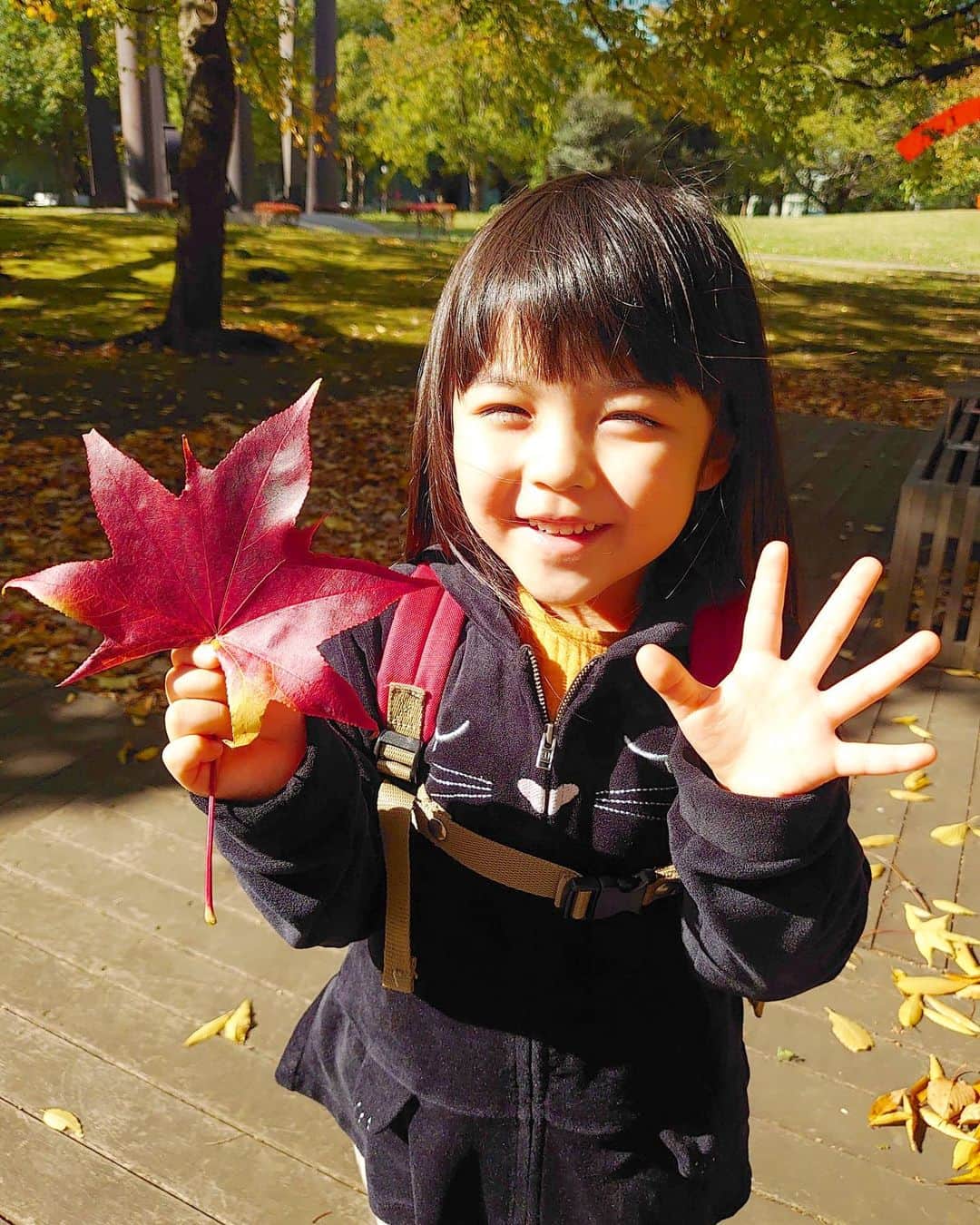 加藤柚凪さんのインスタグラム写真 - (加藤柚凪Instagram)「撮影に行く途中で、とってもきれいな赤い葉っぱ🍁み〜つけた😃🎶真っ赤でツヤツヤ😍✨ゆずの手より大きかったよ‼️🤣赤や黄色の葉っぱがあって楽しいなぁ🥰  #紅葉 #これって #もみじ …？ #加藤柚凪   @yuzuna_kato」11月12日 17時50分 - yuzuna_nagase