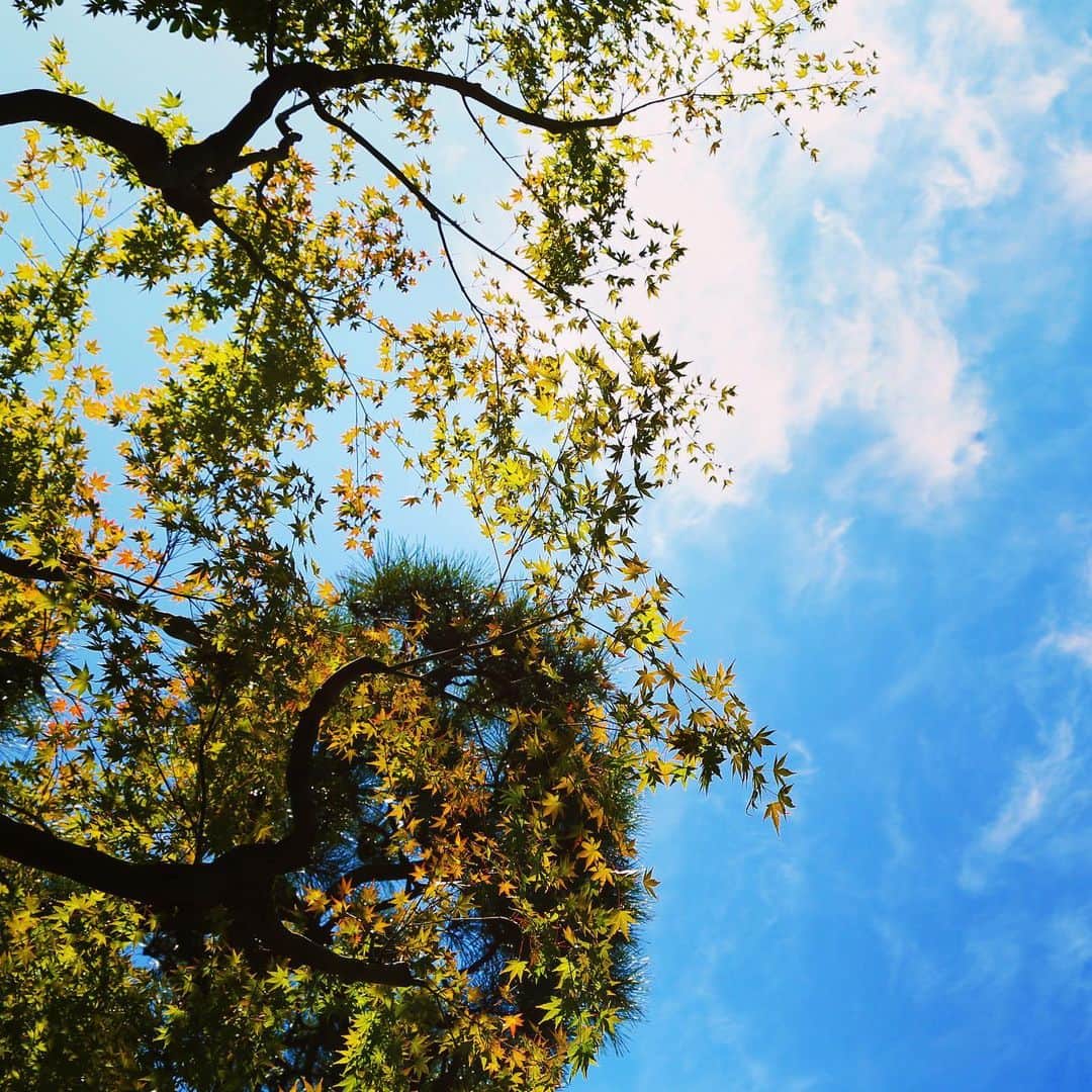 八芳園のグルメインスタ