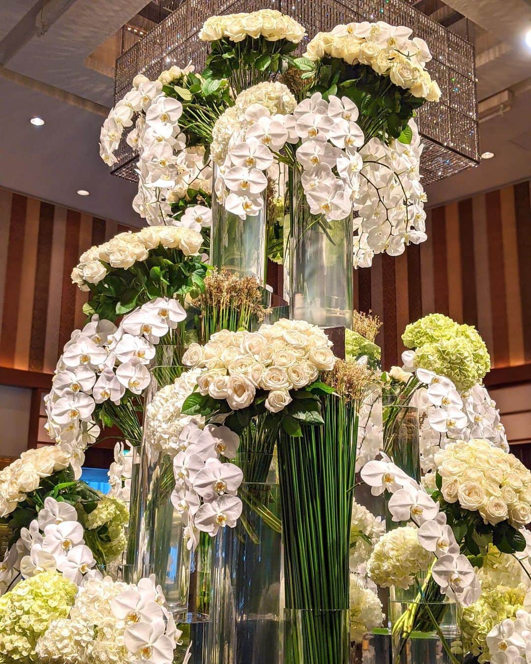 のインスタグラム：「. 白い薔薇の花言葉は、「reverence（深い尊敬）」。 真っ赤な薔薇も良いけど、純潔のホワイトも素敵ですよね☺️ . . #whiteroses」