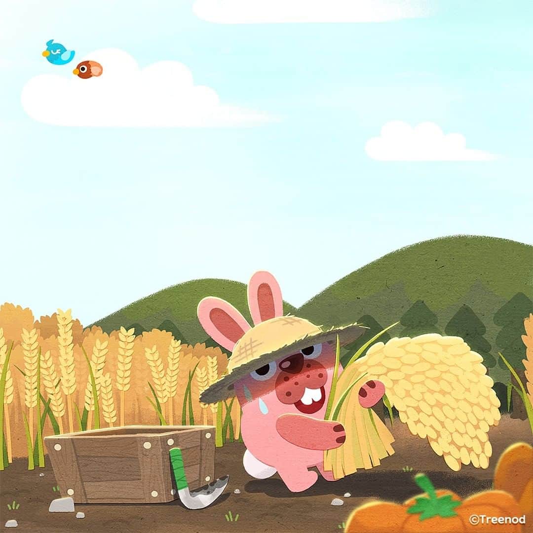 ポコタのインスタグラム