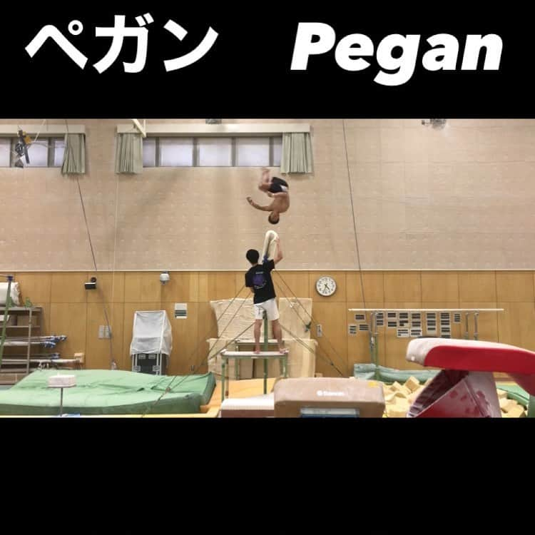 宮地秀享のインスタグラム：「The process of improvement  - pegan -   鉄棒、ペガン成長記録集 プロフィール欄から是非YouTubeチャンネル登録お願いします😁  You can see it from the profile section  please  subscribe to my YouTube channnel! And if you like it, please thumbs up👍  #pegan#ペガン#ゲイロード#Gayload#bretschneider#Cassina#Kolman#combination#miyachi #鉄棒#成長記録#超大技#大技」