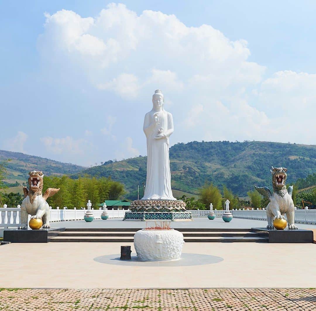 タイ国政府観光庁さんのインスタグラム写真 - (タイ国政府観光庁Instagram)「・﻿ ／﻿ 🇹🇭タイの秘境を巡る旅へ✈️﻿ まだ知られていないタイはここ❗﻿ ＼﻿ ﻿ 毎週木曜日は、まだまだ日本では知られていないタイの秘境スポットをご紹介🤫✨﻿ ﻿ 今回は、真っ白な観音像が祀られる寺院「ワット・パー・フアイ・ラー」へ🏃💨﻿ ﻿ 1995年にルーイ県に建てられた、ワット・パー・フアイ・ラー🙏﻿ 入り口にたたずむ観音像の内部には、樹齢約200年の大樹が納められています👀✨﻿ ﻿ この大樹には「工事のために切り倒そうとしたものの、重機のほうが動かなくなってしまうという不思議な現象が起きたことから、御神木として寺院に祀ることになった」という逸話が🤫﻿ そうした背景から、パワースポットとしても知られています👏﻿ ﻿ #タイ #ルーイ #イサーン #ワットパーフアイラー #タイ寺院 #お寺巡り #お寺好きな人と繋がりたい #パワースポット #こんなタイ知らなかった #もっと知りタイ #タイを知りつくす #タイ旅行 #イサーン旅行 #旅好きな人と繋がりたい #旅行好きな人と繋がりたい #海外旅行 #thailand #loei #loeitrip #isan #isantrip #watpahuaylad #temple #thainess #amazingthailand #thailandtravel #thailandtrip #thai #thaistagram #lovethailand」11月12日 18時29分 - amazingthailandjp