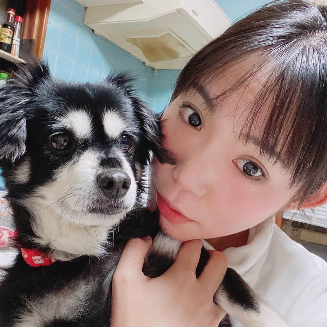 内田有理のインスタグラム：「まるるん💓 #doglover #doglife」