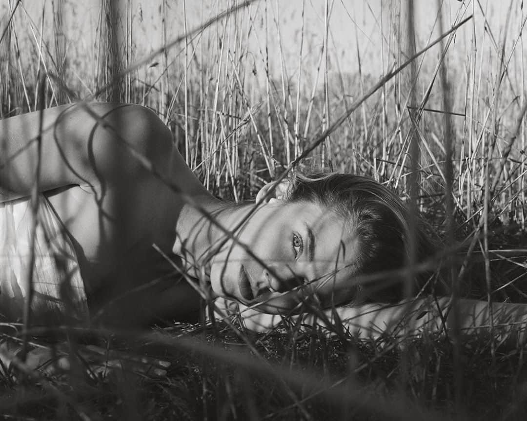 Victoria Leeのインスタグラム：「Imprint 🌿 @springerinn @harmonistudio__ @ellymcgaw @soniakovacevic @auteur.studio」