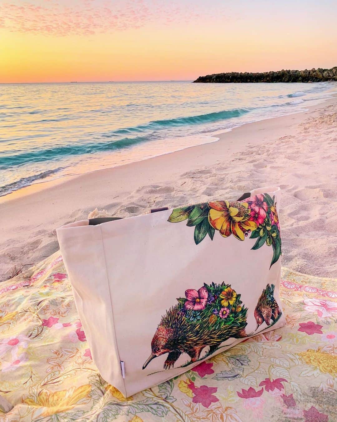 さんのインスタグラム写真 - (Instagram)「Swap out your plastic bags for these beautiful @mariniferlazzo tote bags 🐢🐋🐠🐬  With inspiring art designs and a conscious business ethos that supports wildlife and our planet what’s not to love! 🌎 They will make the cutest presents this holiday season {link in bio to shop} 🐢  Did you know there are approx 5.25 trillions pieces of macro and micro plastics circulating in our oceans and that we consume approx 5 gms (a credit card) worth of plastics each week from micro plastics found in our soil, water and air? It’s definitely time to make the switch to reusables if you haven’t already. Not only is this terrible for our health and killing animals, we live on a planet with finite resources and 99% of plastics are made from chemicals sourced from fossil fuels.   Apart from tote bags @mariniferlazzo also make reusable drink bottles, candles, cushion covers, mugs, tea towels, journals, gift cards and so much more. They have a great range of beautifully crafted products. I love that the tote bags are made from 100% organic cotton, they use FSC certified paper for their journals and 100% recycled paper for their gift cards. Their beautiful candles are made with 100% plant based fragrances and essential oils, are palm oil free and the soy wax is petroleum, parafin, and parabens free. They have the planet, the animals, our health and our future in mind with everything they create.   Go check them out @mariniferlazzo Every purchase will support a charitable organization helping our precious animals 🐨🦔🦘  As the inspirational David Attenborough has shared we must rewild the world and improve biodiversity. Our future depends upon it. We need healthy ecosystems thriving with animals.   So this season I encourage you to shop consciously and show some love to small businesses that are supporting the conservation of our wild beautiful world 🙏🏼🌎  📸 @bobbybense  #swipeformore   #mariniferlazzo #totebags #wildlife #saveourwildlife #turtles #whales #australianwildlife #fortheanimals #animallover #australia #australianart #artforwildlife」11月12日 19時01分 - helen_jannesonbense