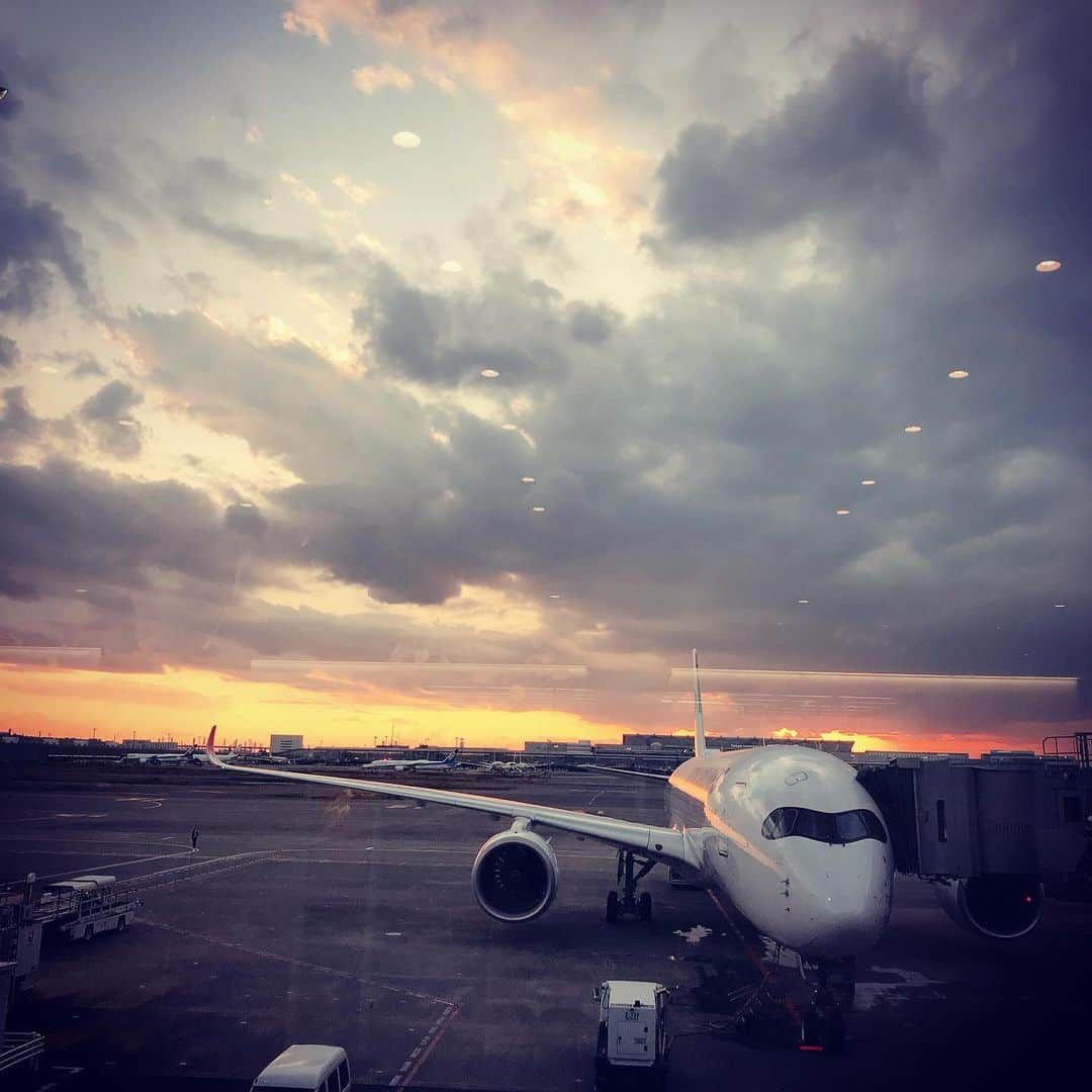 黒塚まやさんのインスタグラム写真 - (黒塚まやInstagram)「飛行機に乗って、お仕事へ。 ご無沙汰してますの現場へまたお邪魔できたのは嬉しいことです😊 . #仕事 #福岡 #アナウンサー #黒塚まや #コロナ対策しっかり #ディレクターさんに教えてもらった福岡空港のカレーうどんありませんでした😭」11月12日 19時25分 - maya.k0914