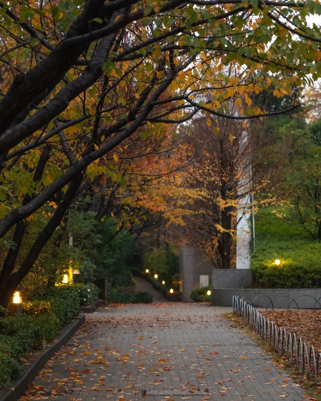 ザ・プリンス パークタワー東京さんのインスタグラム写真 - (ザ・プリンス パークタワー東京Instagram)「この時期の芝公園散策は、秋の景色を満喫できます。  Take a walk around our garden and let the Autumn colors surprise you!  Share your own images with us by tagging @princeparktowertokyo  —————————————————————  #TokyoTower #princeparktower #princehotels #tokyo #japan #beautifulhotels #tokyohotel #shibakoen #akabanebashi #azabujuban #tokyotower #ThePreferredLife #プリンスパークタワー東京 #東京タワー」11月12日 19時24分 - princeparktowertokyo