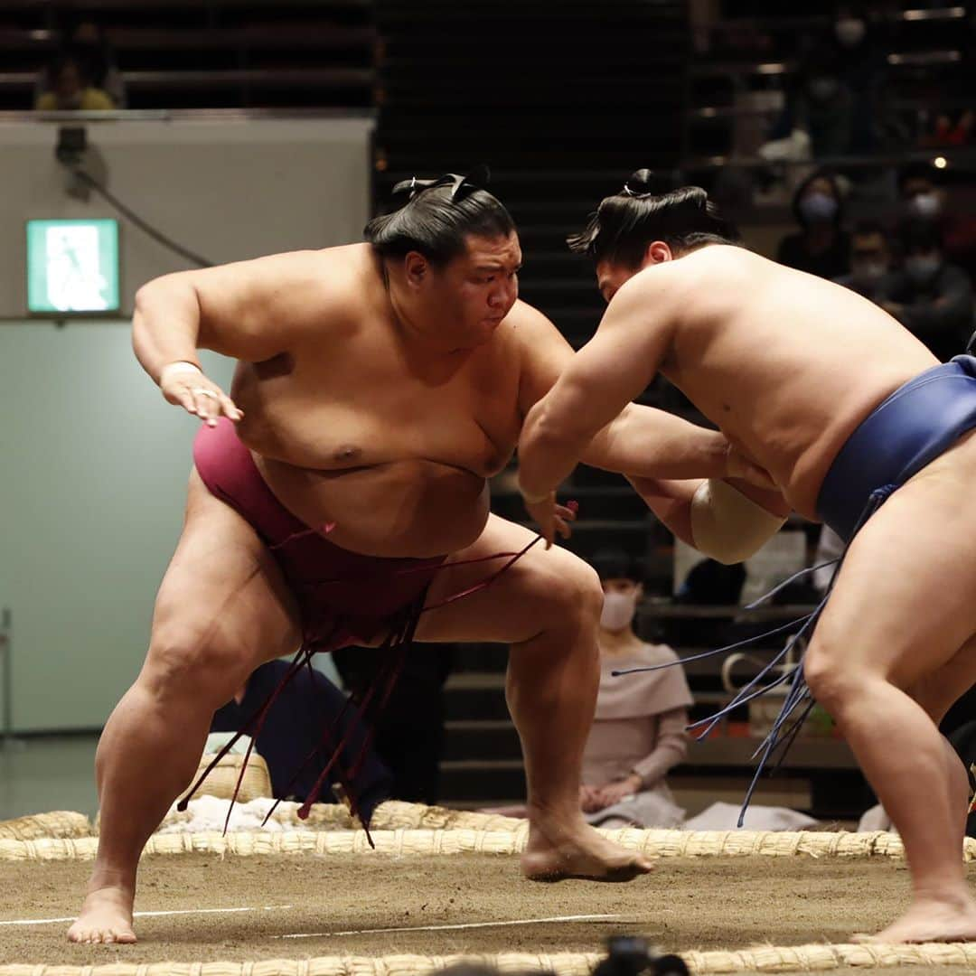 日本相撲協会さんのインスタグラム写真 - (日本相撲協会Instagram)「大相撲十一月場所、5日目。 貴景勝、照ノ富士、千代の国、志摩ノ海が5連勝。 力士のぶつかる衝撃、熱気あふれる取組をぜひ国技館でご覧ください。  @sumokyokai  #大相撲 #sumo #相撲 #力士 #お相撲さん #japanphoto #sumowrestlers #japanculture  #十一月場所 #11月場所 #東京 #11月場所は東京で #貴景勝 #照ノ富士 #居反り #宇良 #御嶽海 #照強 #塩まき」11月12日 19時30分 - sumokyokai