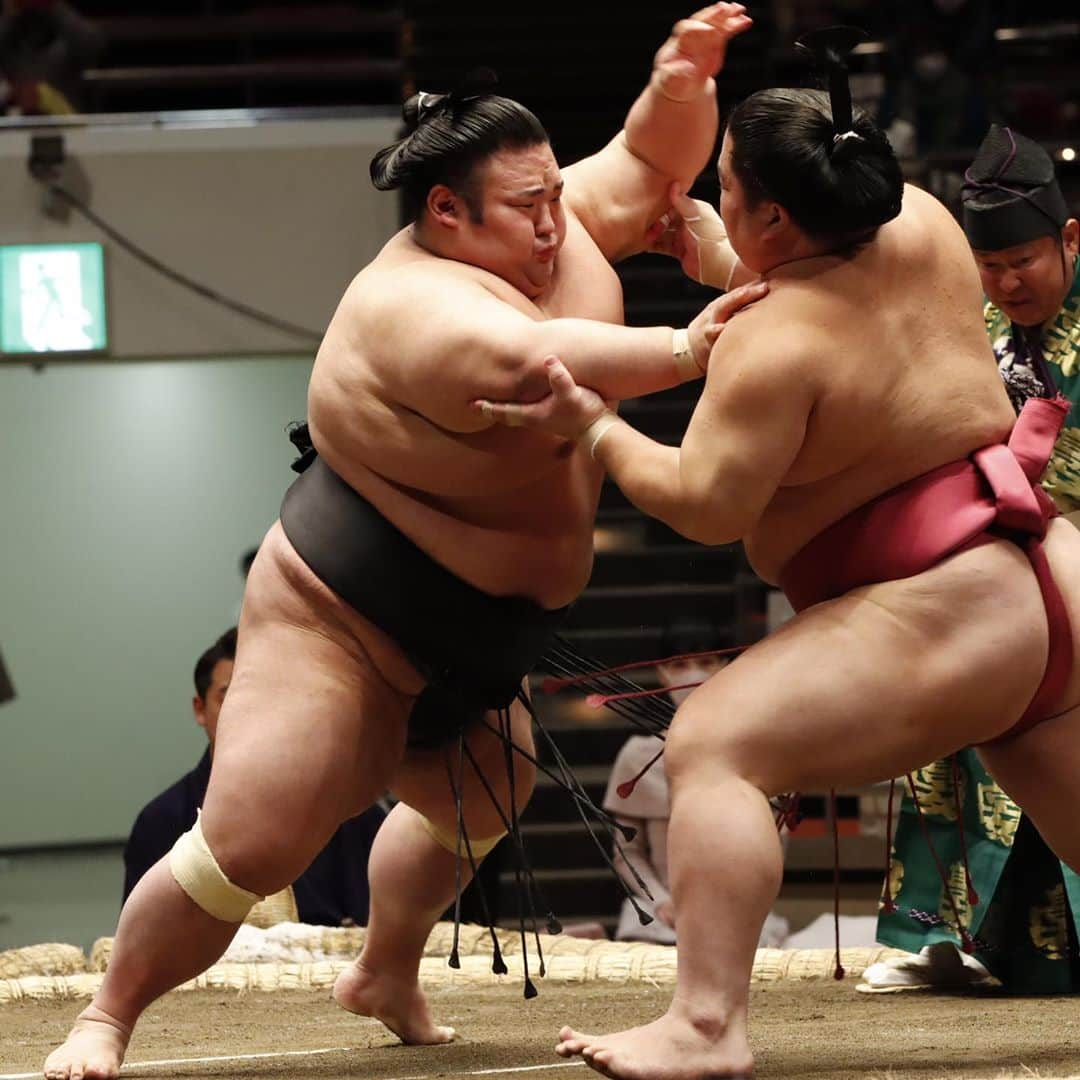 日本相撲協会さんのインスタグラム写真 - (日本相撲協会Instagram)「大相撲十一月場所、5日目。 貴景勝、照ノ富士、千代の国、志摩ノ海が5連勝。 力士のぶつかる衝撃、熱気あふれる取組をぜひ国技館でご覧ください。  @sumokyokai  #大相撲 #sumo #相撲 #力士 #お相撲さん #japanphoto #sumowrestlers #japanculture  #十一月場所 #11月場所 #東京 #11月場所は東京で #貴景勝 #照ノ富士 #居反り #宇良 #御嶽海 #照強 #塩まき」11月12日 19時30分 - sumokyokai