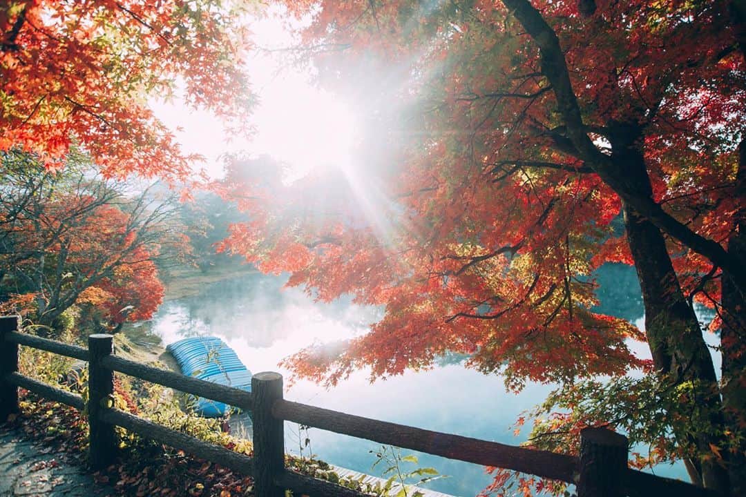 yukiさんのインスタグラム写真 - (yukiInstagram)「・ ・ ・ Beautiful autumn days ・ ・ ◉NICOSTOPサイトにて記事公開中◉ https://nicostop.nikon-image.com/entry/technic/landscape-portrait/2020/10/16/1 ・ ・ ・ ◉sty830 base shop◉ https://sty830.base.shop/ ・ ・ ・ #福島　#五色沼」11月12日 19時42分 - sty830