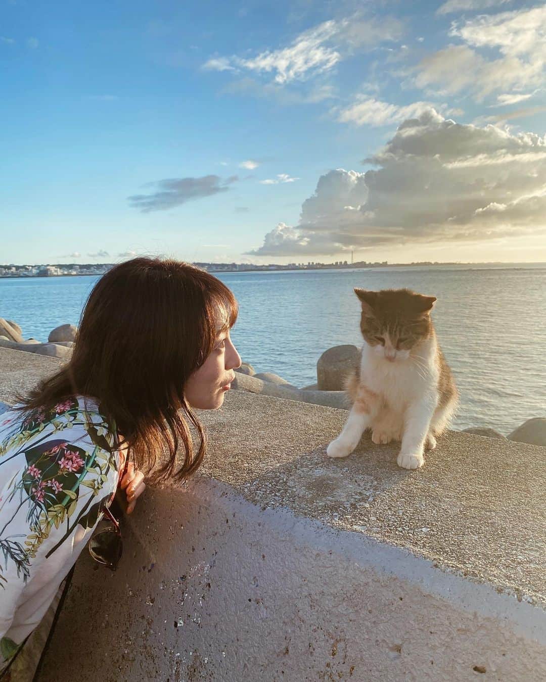 瀬口かなさんのインスタグラム写真 - (瀬口かなInstagram)「﻿ 沖縄のサンセットと猫様です🐈﻿ ﻿ ﻿ ﻿ 圧倒的犬派の私でも﻿ 思わず追ってしまうほど可愛い猫ちゃんでした😭💓﻿ ﻿ ﻿ そして本当に綺麗だった…！﻿ ﻿ ﻿ ﻿ ﻿#沖縄 #沖縄旅行 #okinawa #sunset #サンセット #猫 #猫スタグラム #cat #catstagram」11月12日 20時00分 - seguchikana