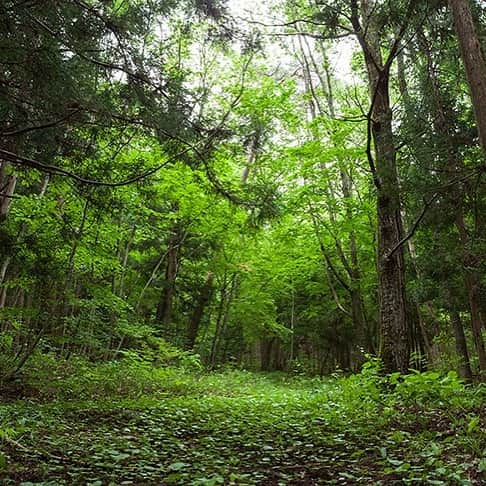 前野悠介のインスタグラム