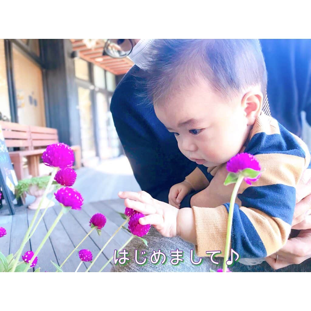 岩崎弘志さんのインスタグラム写真 - (岩崎弘志Instagram)「. 息子との生活が始まって、一つ一つの行動にしっかり時間がかかるようになりました。 . せっかちな自分としては「早く次のお店に行きたいなぁ」とか、「朝はゆっくり自分たちのペースで出発したかったなぁ」とか思うことも最初はありましたが、今となっては物事を見る速度を落としてじっくり観察できるチャンスだと思えるように☺️⤴︎ . 一つのものを凝視して、触って、口に含んで覚えていく。 . 息子にとっての進化の瞬間をなるべく見逃さないように、大切に時間を共有したいと思います😊 . だからこそ今日、私は強い気持ちで・・・ . . . 定時で帰りました。 . かごしま4のゲストに来て頂いた哀川翔さんとの余韻に浸りながら👏🏻📺✨ 現場からは以上です🙇🏻‍♂️⤴︎ . . #成長日記 #子供のいる暮らし #赤ちゃんといる暮らし #お出かけ日和 #家族時間 #家族日記 #ゆっくり #長男坊 #よく遊ぶ #おしゃぶり#kagoshima #霧島市 #kirishima #鹿児島ランチ #鹿児島 #鹿児島観光 #紅葉 #紅葉狩り #霧島 #霧島ランチ #かごしま4 #MBC #MBCテレビ #哀川翔 さん #鹿児島出身 #鹿屋 #ゲスト #tege2 #tegeh #アナウンサー」11月12日 19時58分 - iwasakikoji0326