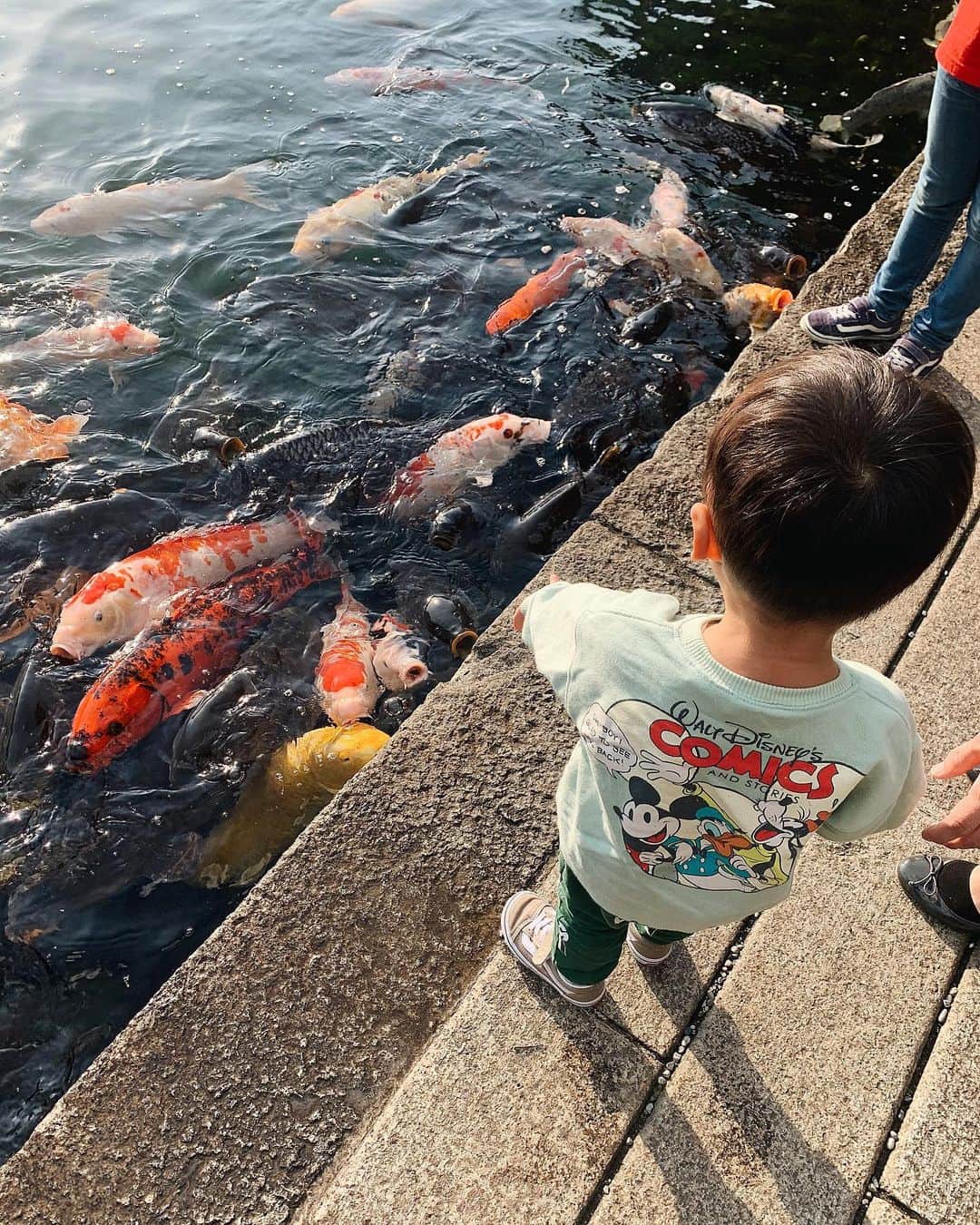 小西翼さんのインスタグラム写真 - (小西翼Instagram)「. 鯉の餌やり楽しんでました🐟✨ . #徳川園#鯉」11月12日 19時59分 - tucha_k