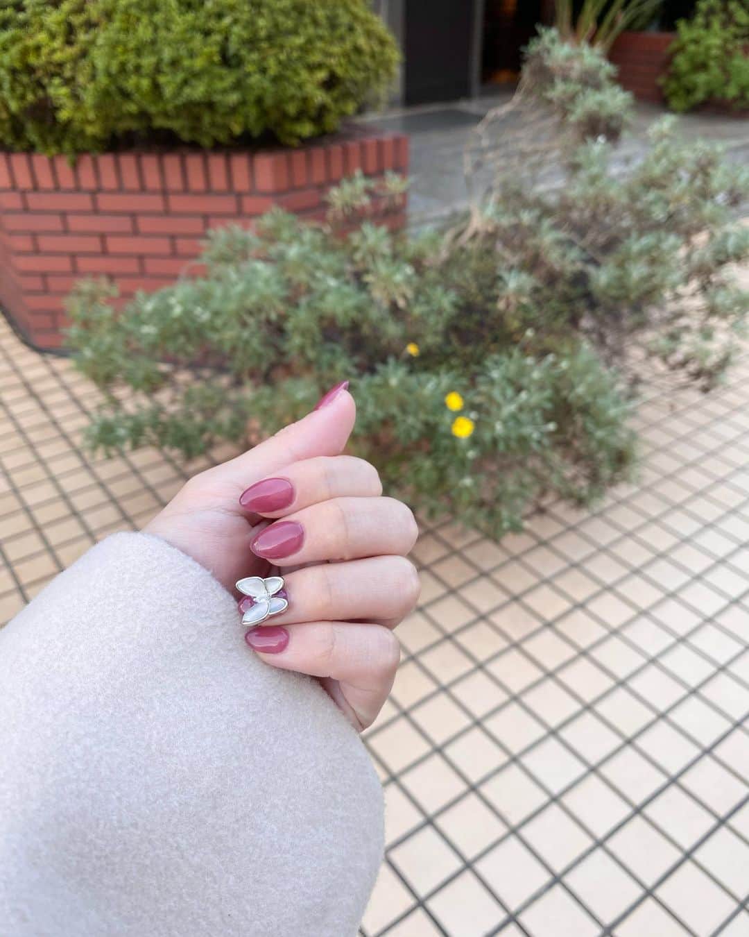 MICさんのインスタグラム写真 - (MICInstagram)「💅 ﻿. この前　@twinkmiru さんで ネイルしてきたよー🐇 . . 蝶々パーツずっとかわいいなあ〜って思ってたから　つけれて満足❤︎ . . 手元がかわいいとうきうきする( ꈨຶ ˙̫̮ ꈨຶ ) . . . . ﻿#twinkmiru #twinkmirunail #トゥインクミル #表参道 #表参道ネイル #表参道ネイルサロン﻿ #ちゅるんネイル #マグネットネイル #上品ネイル﻿ #ミラーネイル #ニュアンスネイル #大人ネイル ﻿ #蝶々ネイル #バタフライネイル #パピヨンネイル﻿ #蝶ネイル #大人ネイル #オフィスネイル #秋ネイル﻿ #シンプルネイル #ブライダルネイル #フットネイル ﻿ #パラジェル #ジェルネイル #ジェルネイルデザイン #젤네일 #네일아트 #귀여운네일 #美甲」11月12日 20時13分 - micmofmof