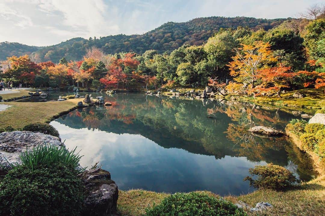 Sonoda COO Yukiyaのインスタグラム：「Autumn in Kyoto  秋の古都京都  #Kyoto #autumn」