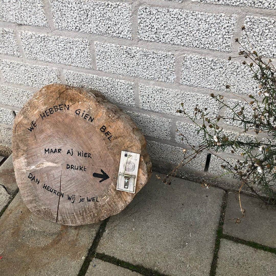 ヤナ・スクラのインスタグラム：「Wil iemand uit Drenthe een maandje met mij ruilen van huis? Liefst in de buurt van minstens tien bomen, mag ook ergens anders. Ik woon in Amsterdam Noord. Stuur maar n bericht」