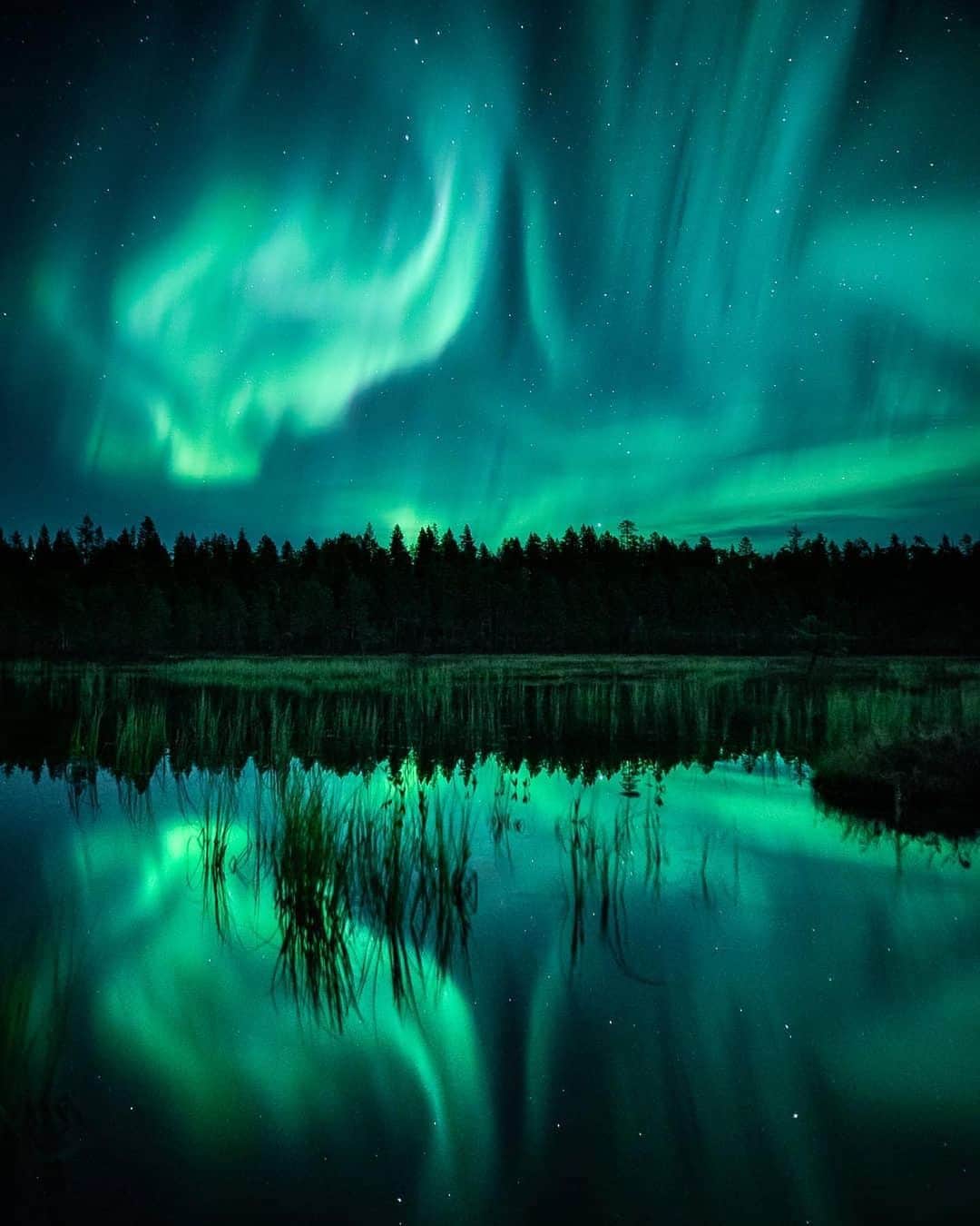 Canon Photographyさんのインスタグラム写真 - (Canon PhotographyInstagram)「A night sky full of light! Who else is dreaming of seeing the northern lights? Photography  @imikegraphics  Curated by @ianharper  #northernlights」11月12日 20時55分 - cpcollectives