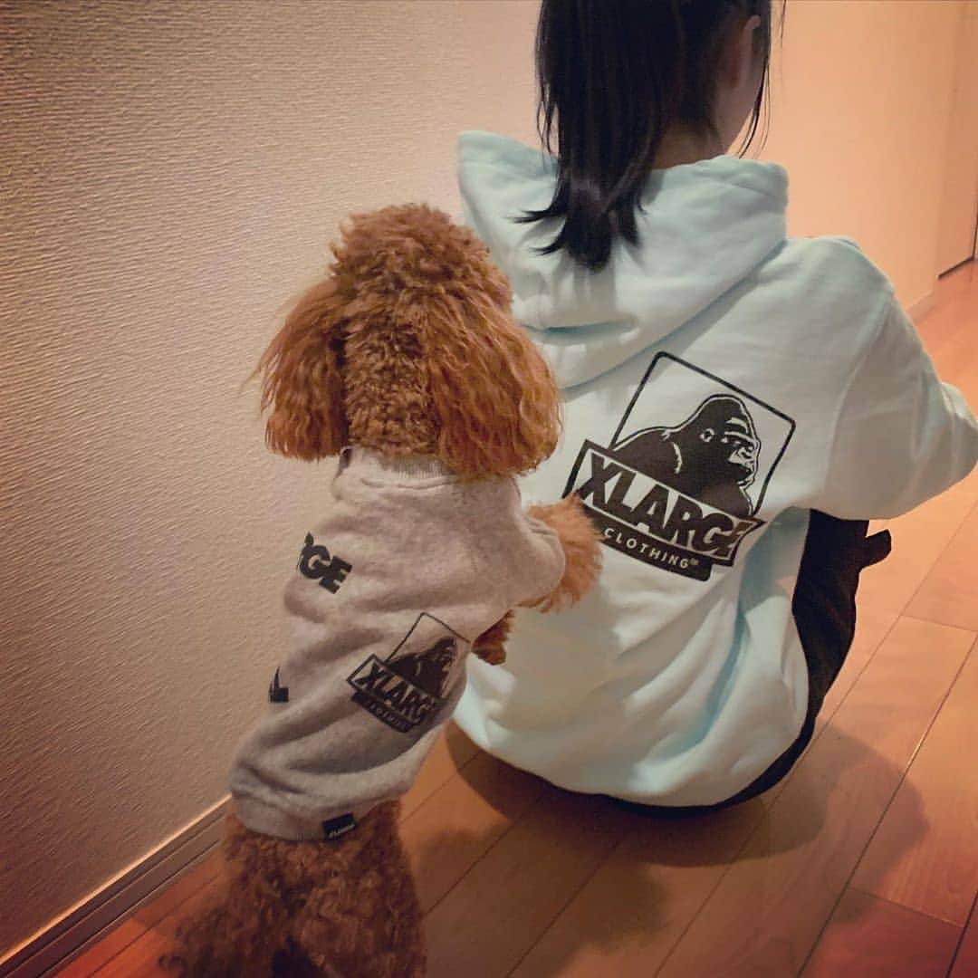 Caluluのインスタグラム