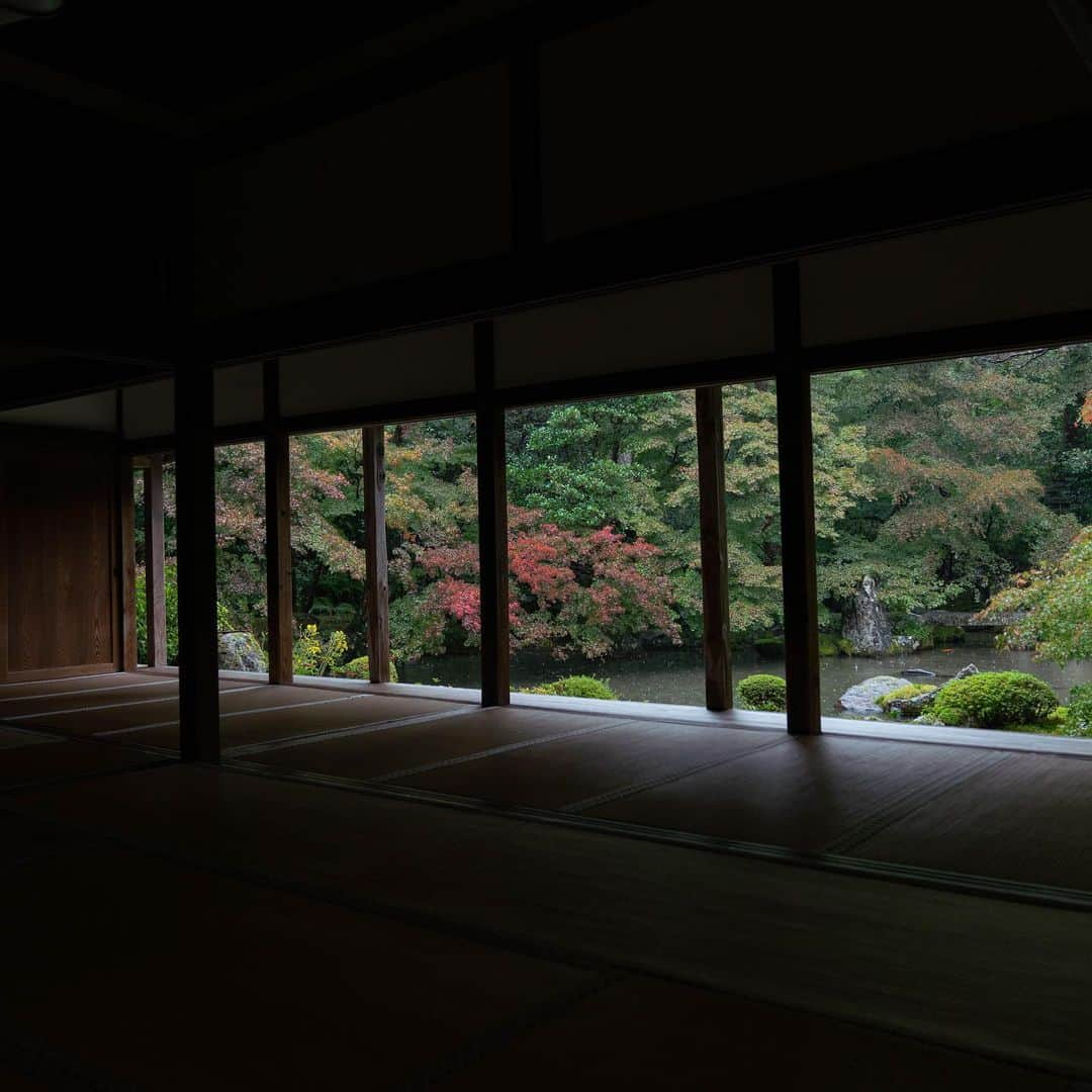 山口淳一のインスタグラム：「Peaceful place. — #japan #kyoto #green #nature #silence #日本 #京都 #緑 #自然」