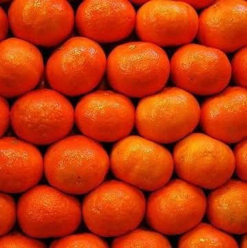 Schutzのインスタグラム：「Um diálogo entre a concepção de ideias e o produto final que vestimos. #SchutzXGinger 🧡」