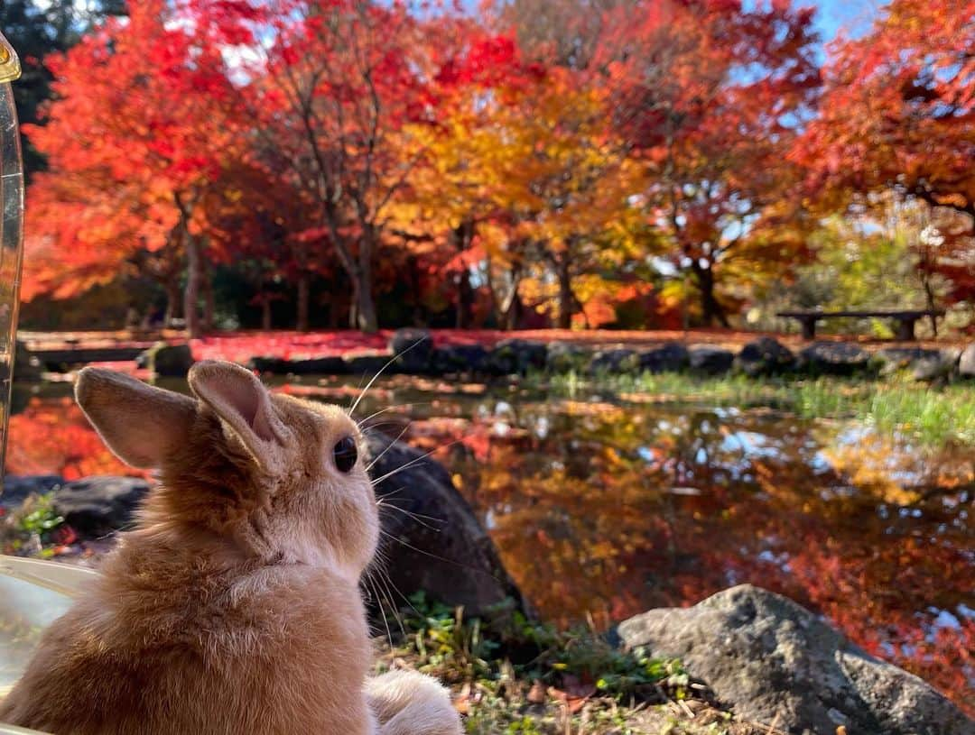 ラン?のインスタグラム