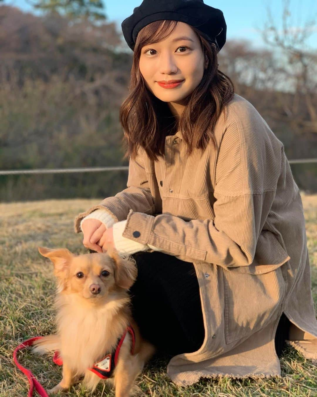 村上奈菜のインスタグラム：「ルゥとお出かけ🐶♡﻿ この時遊んでたらハーネスが片足外れてしまった😂﻿ 秋だね〜🍁﻿ ﻿ #いぬのいる暮らし #いぬのきもち ﻿ #いぬすきさんと繋がりたい ﻿ #チワックス #ちわっくすたぐらむ」