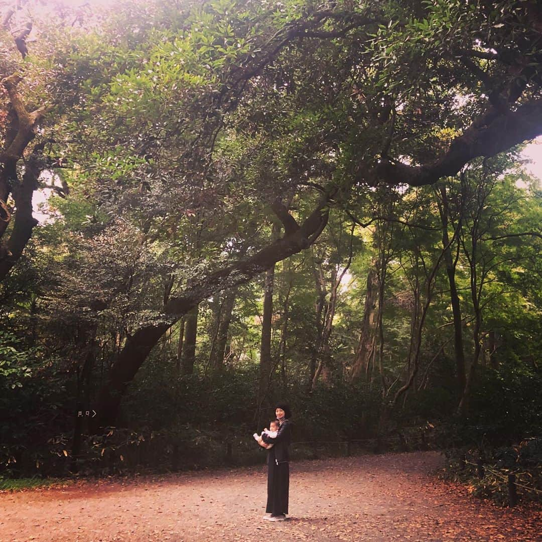 肘井美佳さんのインスタグラム写真 - (肘井美佳Instagram)「Nature makes us naturally happy.  自然の中のお散歩嬉しい。 都内でも意外とあるんだよなぁ。  ところで…  都内で渋柿ってどこに売っているんでしょう…  もらった干し柿がとても美味しくて、実家の母が作った干し柿を思い出し、 自分でも作ってみようと思ったのだけど渋柿が見つからず。  もし知っている方いたら教えてください(^^)  今作ってるよー！ 作ったよー！ 作ったことあるよー！  という方もいたら教えてください〜先輩⭐︎  球根を育てるのも干し柿作りも時間をかけるものだよね。私はそういうものが好きなようです。 持って生まれた性質なのか、育った環境が私を作ったのか。いずれにせよ、母親の影響は大きそうだ。  #nature #naturally #言葉遊び？になるのだろうか #干し柿作りたい #雨がつくとカビるよね #母の干し柿たまにカビてた」11月12日 21時42分 - mikahijii