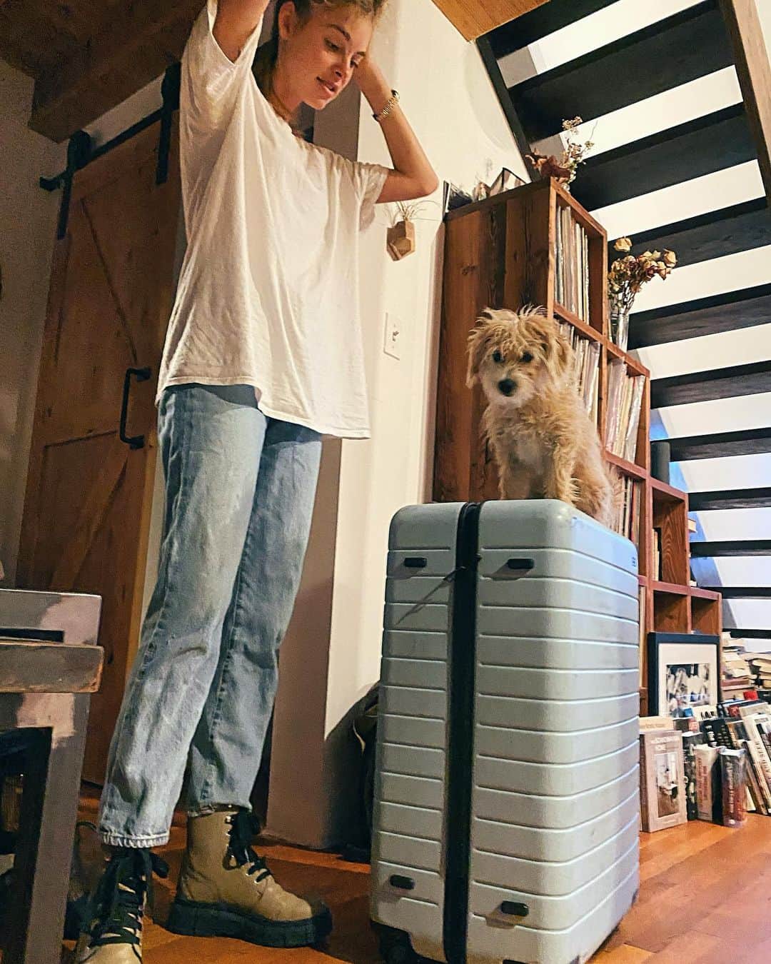Elizabeth Turnerのインスタグラム：「hard to put into words what my lil baby girl means to me 💕 my travel companion, my best friend, my exercise buddy. I am an animal lover through and through, which is why I eat a vegan diet. But I never knew how intuitive and downright intelligent dogs could be. Zoe knows when I’m happy- and she’s happy with me. She knows when I’m sad- and she curls up in my lap to comfort me. She loves me unconditionally. She wakes up every morning with a zest for life. Shout out to all the dog bffs out there... shout out to Mother Earth for the gift of dogs 🙏🏼 #puppy #puppylove #bff #travelbuddy #dogappreciation」