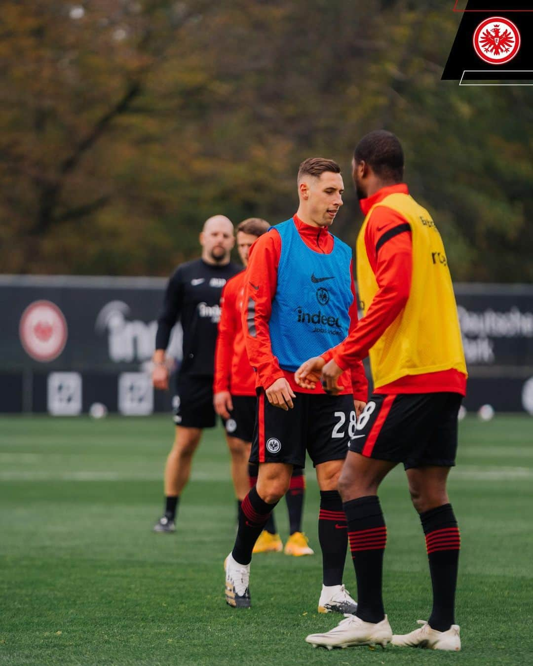 アイントラハト・フランクフルトさんのインスタグラム写真 - (アイントラハト・フランクフルトInstagram)「Testspiel 🔛 • • #SGEFCN #sge #eintracht #frankfurt #eintrachtfrankfurt」11月12日 22時08分 - eintrachtfrankfurt