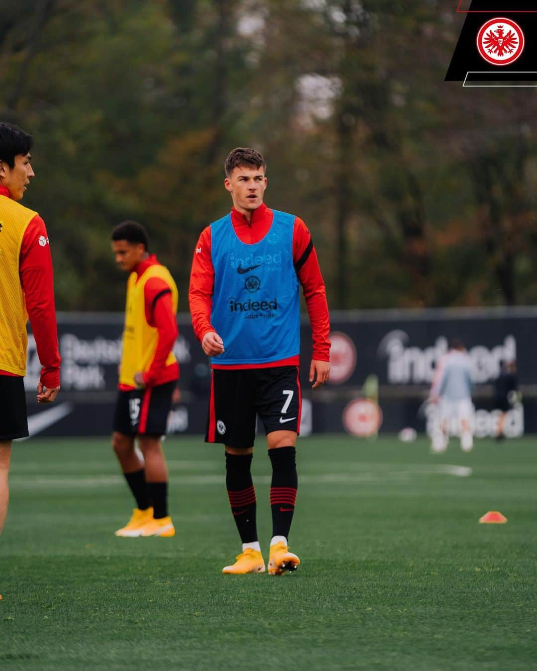 アイントラハト・フランクフルトさんのインスタグラム写真 - (アイントラハト・フランクフルトInstagram)「Testspiel 🔛 • • #SGEFCN #sge #eintracht #frankfurt #eintrachtfrankfurt」11月12日 22時08分 - eintrachtfrankfurt