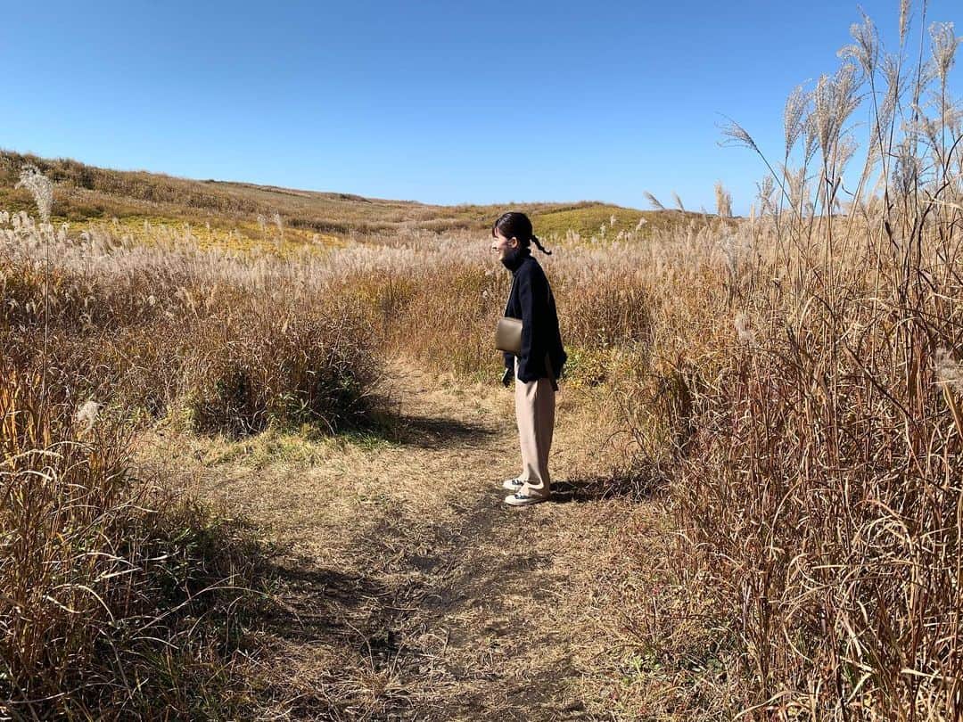 my9mj8のインスタグラム：「﻿ 　﻿ 秋の阿蘇は初めてでした🌾🌾﻿ ﻿ どこ綺麗でした😌﻿ 壮大だな〜﻿ ﻿ ﻿ #阿蘇#ススキの迷路」