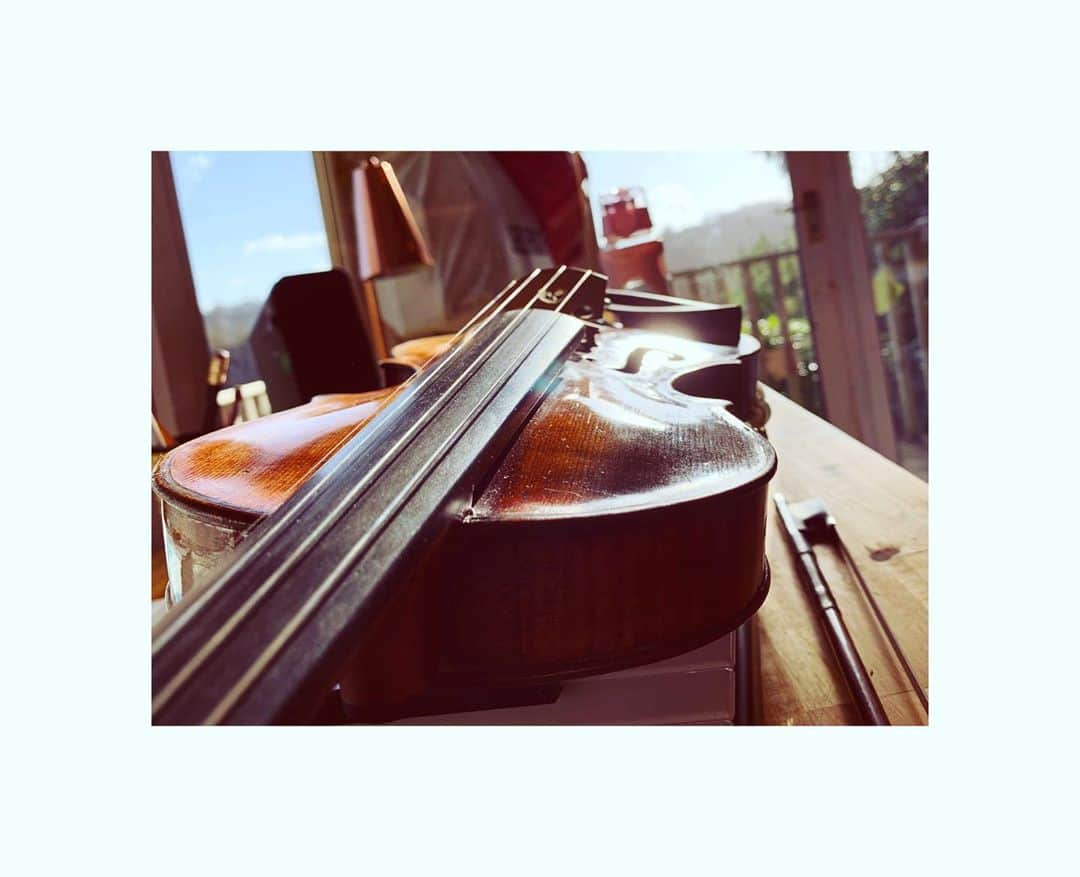 ダイアナ湯川さんのインスタグラム写真 - (ダイアナ湯川Instagram)「My baby before my human babies came to me. Thank you for being my voice 💕 . . . . #violin #baby #whoiam #myvoice #musician #violinist #composer #studiotime #creativity #motherhood」11月12日 22時38分 - diana.yukawa