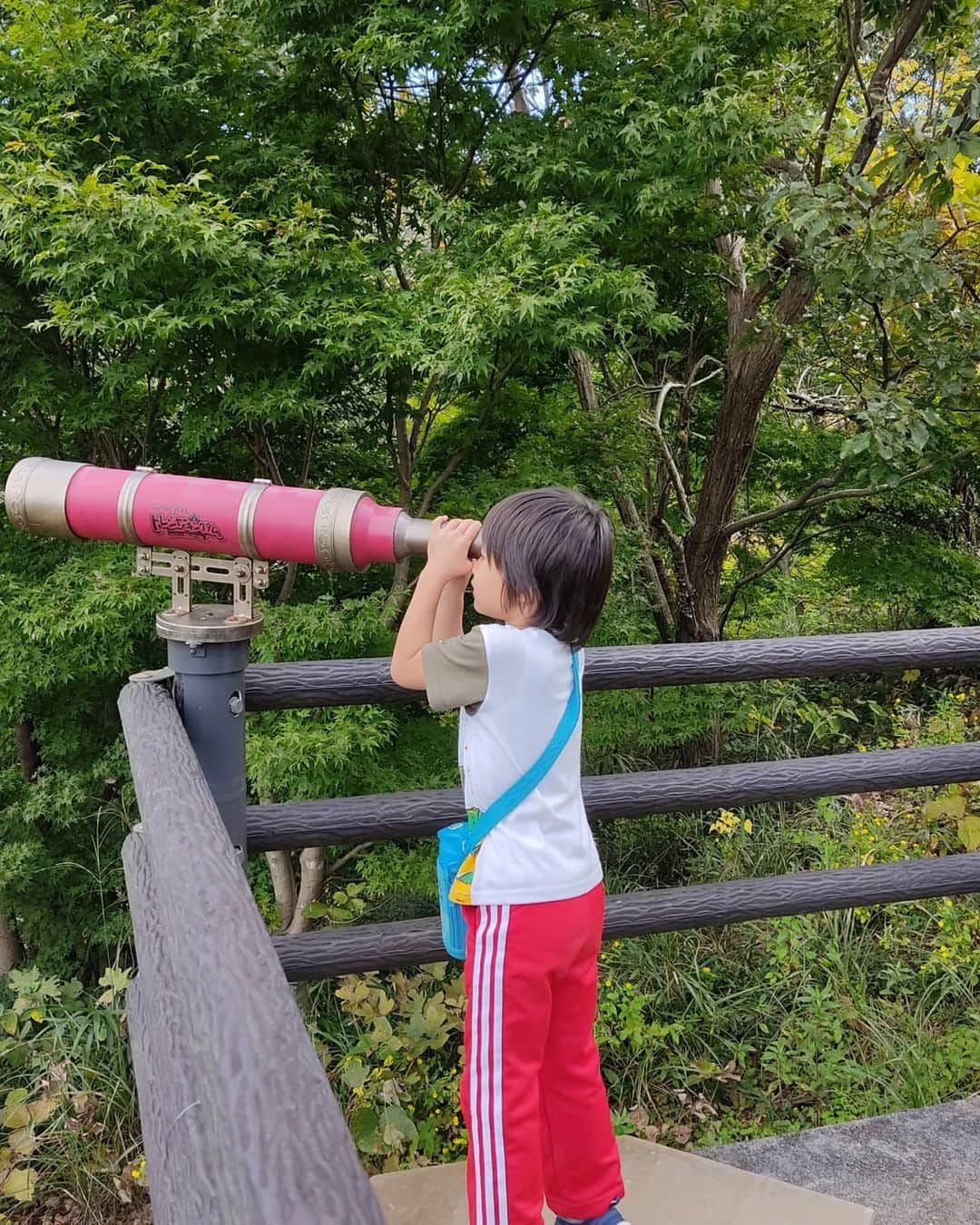 清野紗耶香さんのインスタグラム写真 - (清野紗耶香Instagram)「足を伸ばして広い広い森の公園へ🌳 #時差スタグラム   広角レンズで撮ったら、こーたが9等身になった😂  2枚目→揺れる吊橋で、私が怖がってると思ったらしく(そんなに怖く無かったんだけど) 手を繋ぎに来てくれてるところ。  #揺れる吊り橋 #まめちょびん #5歳 #男の子ママ #ig_kids #kids_japan  #こどもと暮らす #子育てぐらむ #コドモダカラ #男の子育児 #ママライフカメラ #FQキッズフォト #いこーよおでかけ部 #子供とお出かけ部 #ママタス #コズレ #瞬足   @syunsoku_official  #アキレス #syunsoku #おまえうまそうだな」11月12日 22時32分 - seino_sayaka