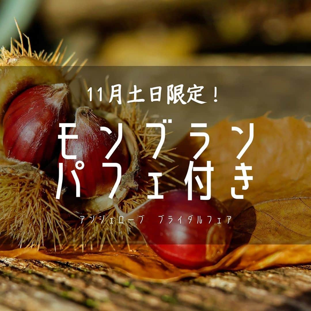 アンジェローブ 名古屋 結婚式場のインスタグラム：「． @weddingisland_angerobe をフォローして、 『 #アンジェローブ 』のタグで. お写真を投稿してくださいね＊*. . ——————————. .  11月土日限定！ 秋ならでは モンブランパフェ が食べられる ブライダルフェア開催決定✨ .  11/14土 10:00〜 または 14:00〜  11/15日 10:00〜 または 14:00〜  11/21土 9:00〜 または 14:00〜  11/22日 9:00〜または ★午前中のみ 特別編成の挙式体験で ステキな音楽を堪能できます😍 14:00  11/23月祝 9:00〜 または 14:00〜  11/28土 10:00〜 または 14:00〜  11/29日 10:00〜または ★午前中の回のみ 特別編成の挙式体験で ステキな音楽を堪能できます😍 14:00  .  ご試食のデザートが モンブランパフェ🌰 優雅な気分で ステキなデート❤️を お楽しみください☺️  .  ●二つのチャペルも 見比べできます！  ●美味しいご試食付き🤤  ●見積もり相談も✨  実際に結婚式を作っている プランナー達がご案内！ 当たり前だけど、 当たり前じゃない 結婚式業界の分からないとこ 全て真摯にクリアにします✨  ●2021年秋婚ご希望の方は お早めに！ ※既に秋も埋まりつつあります  . ——————————. . -アンジェローブの公式HPをcheck＊* http://www.angerobe.co.jp/sp/ -ブライダルフェアの予約はコチラから♪ http://www.angerobe.co.jp/sp/fair/ . ——————————. . ぜひ『 #アンジェローブ 』のハッシュタグで. ウェディングの写真を投稿してくださいね＊*. ステキなお写真はこちらのアカウントで． リグラムさせていただきます♪. . また『#アンジェローブ』のハッシュタグで． 投稿していただいた#アンジェ嫁 様は． 必ずフォローさせて頂きます💕  プレ花嫁さんも卒花嫁さんも． ずーっと繋がっていきましょう💕 ——————————. . 結婚式準備アカウント @bon_marri   ドレスショップアカウント @blancdolce   #2021夏婚 #2021秋婚 #2021冬婚 #結婚式 #結婚式場  #名古屋ブライダルフェア #プレ花嫁  #結婚式準備 #東海プレ花嫁 #名古屋プレ花嫁 #名古屋結婚式場 #婚約#港区 #金城ふ頭 #2021年秋婚さんと繋がりたい  #入籍  #2021年秋婚 #名古屋花嫁 #会場見学 #式場迷子 #モンブランパフェ #アフターヌーンティ #アフターヌーンティ名古屋 #モンブラン #ブライダルフェア」