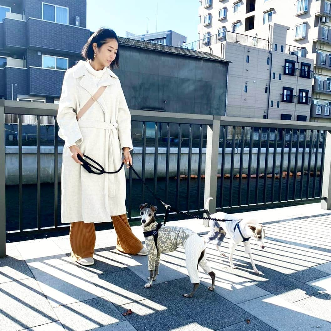 Erika Yamaguchiさんのインスタグラム写真 - (Erika YamaguchiInstagram)「@ig_core.muscle #イタリアングレーハウンド #italiangreyhound コアとマッスルと一緒にお散歩❤❤  東京都は気持ちよい快晴でした🌄  #お揃いコーデ でホワイトで統一感だしてみたよ☺️ バッグは @reebokjp  気分転換になってより一層 #美コア東京スタジオ @bcore_official も頑張れそうだぞ😄✨」11月12日 22時43分 - erika__yamaguchi