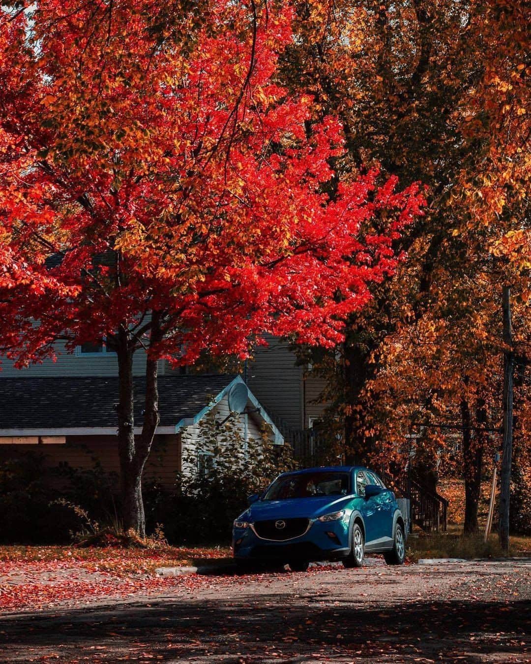 MAZDA Canadaのインスタグラム：「From the moment you take the wheel, the compact and versatile CX-3 gives you the freedom to be anywhere. 📸: @milanjaike」