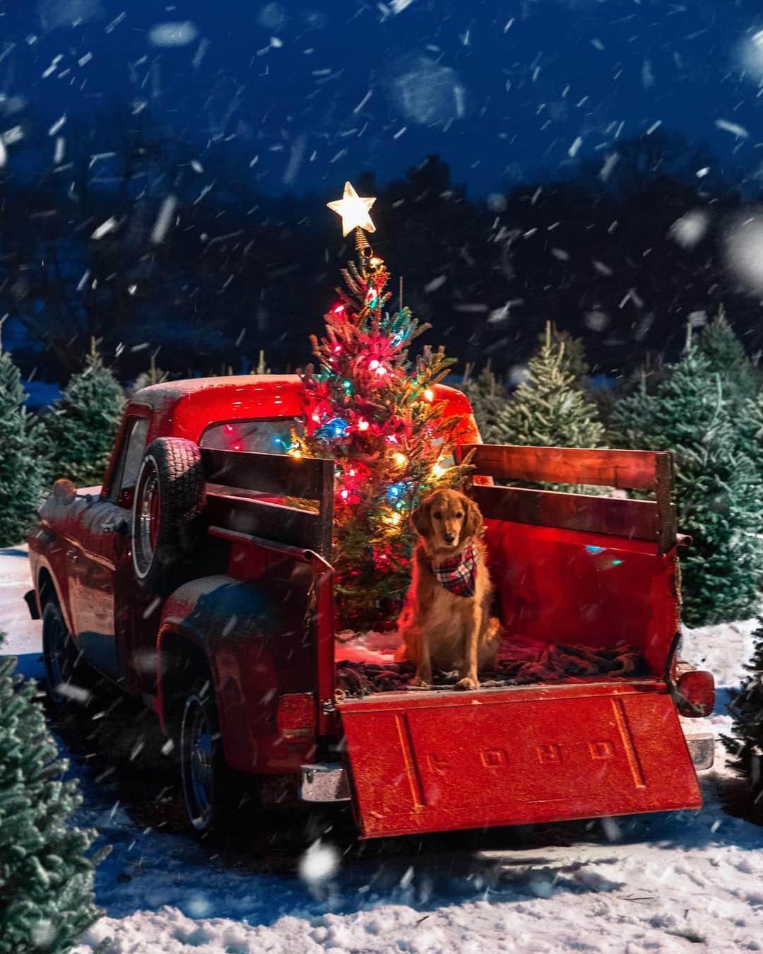 FOLKのインスタグラム：「Tag someone you want to wish a merry early Christmas too! Then go to www.folkgeneral.com and pre-order your @folkmagazine Christmas issue. Merry Christmas y’all! It’s gonna be a good one. This is one of the cover images. This one is by @kjp, cause who doesn’t Christmas better than KJP?!」