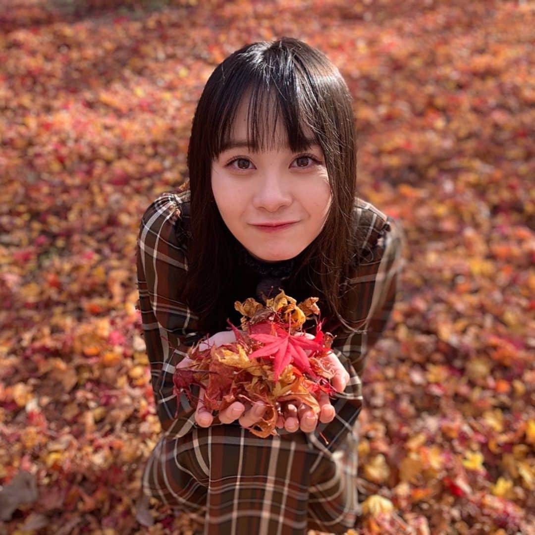 横山結衣さんのインスタグラム写真 - (横山結衣Instagram)「紅葉キラキラ🍁」11月12日 23時33分 - yoko_yui_team8
