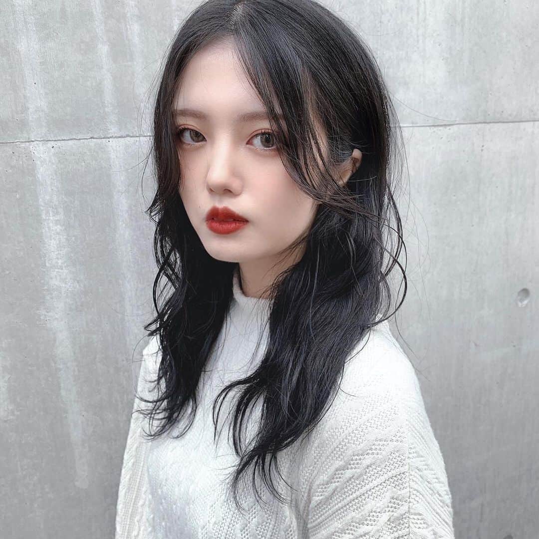 柴のインスタグラム